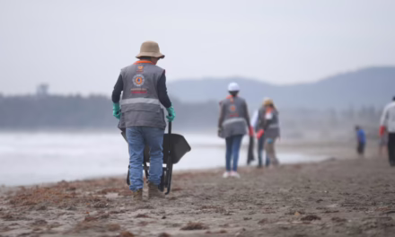En buen estado playas del puerto; PMA intensifica monitoreo por afluencia turística