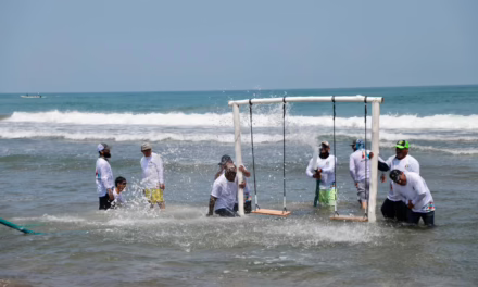 Atienden 3.5 kilómetros de litoral en Alvarado con brigadas de saneamiento