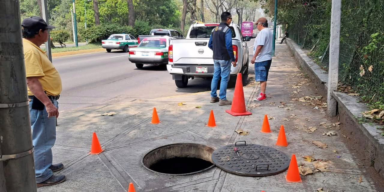 Ardilla provoca apagón en la zona de Plaza Ánimas; servicio ya fue restablecido
