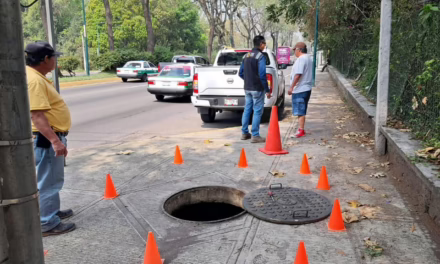 Ardilla provoca apagón en la zona de Plaza Ánimas; servicio ya fue restablecido