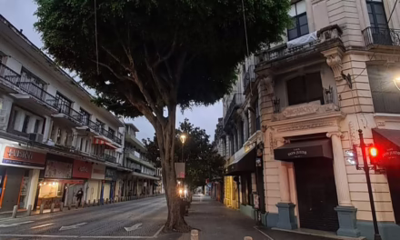 Probabilidad de lloviznas y lluvias ligeras, particularmente en la región montañosa central y las cuencas del sur del estado de Veracruz.