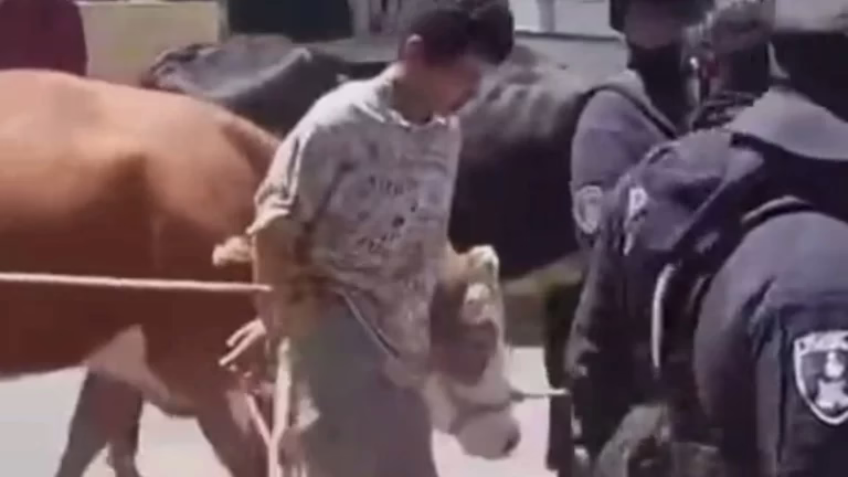 VIDEO: Amarran y pasean por calles de San Andrés Calpan a ladrón de ganado