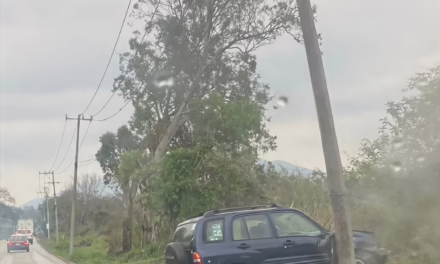 Accidente en la carretera Las Trancas-Coatepec: Camioneta se sale del camino a la altura de El Chico