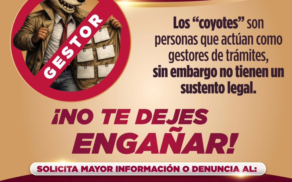 Licencias sin intermediarios: SSP llama a proteger tu trámite y tu dinero