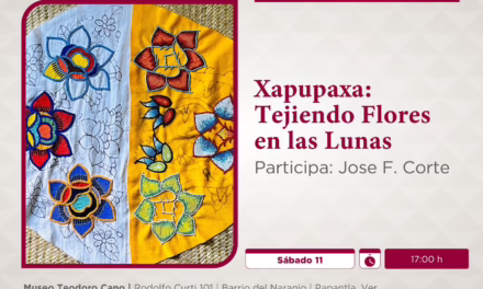 Exposición Xapupaxa: Tejiendo flores en las lunas llega al Museo Teodoro Cano