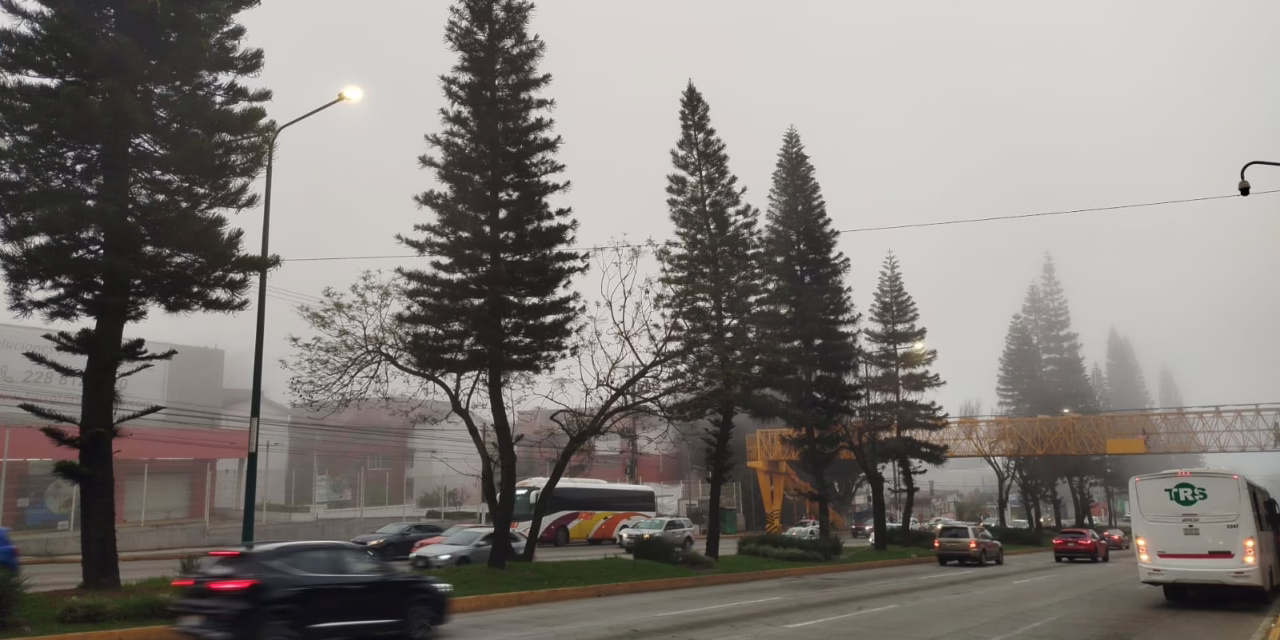 A partir de esta jornada de lunes y hasta el fin de semana, se anticipan condiciones características de primavera