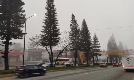 A partir de esta jornada de lunes y hasta el fin de semana, se anticipan condiciones características de primavera