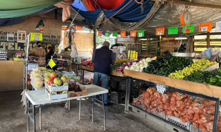 Sheinbaum busca frenar el aumento de la canasta básica y señala a gasolineros por alza