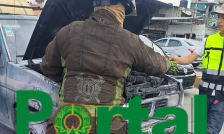 Camioneta se incendia en la carretera Xalapa-Veracruz; Cuerpos de Emergencias se trasladaron a la altura del Olmo