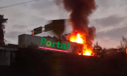 Video:Accidente en la Perote-Xalapa: Tractocamión se incendia a la altura de Piedra de Agua