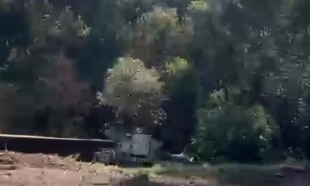 Tráiler cae a barranco en la carretera Perote-Xalapa; conductor resulta lesionado