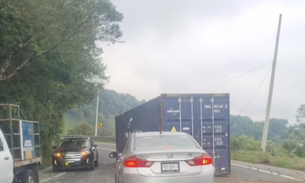 Bloqueo parcial en la Xalapa-Perote: Tráiler pierde contenedor en las curvas de San Miguel