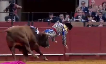 Video: MOMENTO EXACTO en que el torero Morante de la Puebla es corneado
