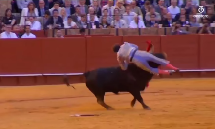 Video: Cornada de gravedad para Andrés Roca Rey en la Maestranza de Sevilla