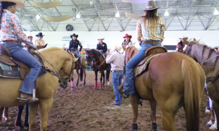 Veracruz, punto de reintroducción del caballo en América del Norte