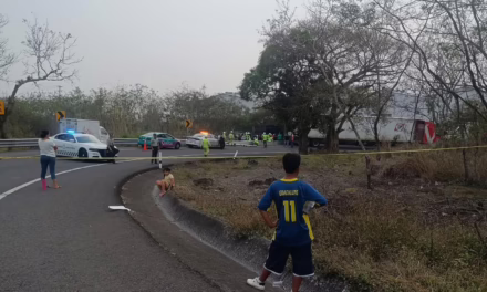 Frustran rapiña en el Libramiento de Xalapa: Tráiler cargado de leche sufre percance