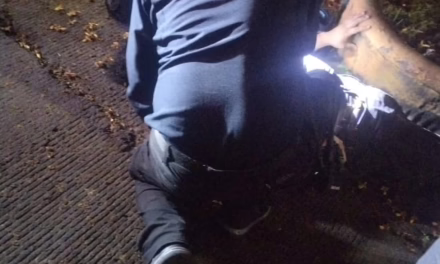 Percance vial en el Boulevard Europa deja un motociclista lesionado