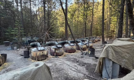 Agentes de CIA carecían de acreditación para operar en #México, aclara el Gabinete de Seguridad