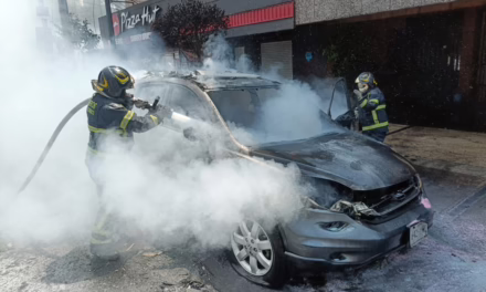 Video: Se incendia camioneta en Polanco
