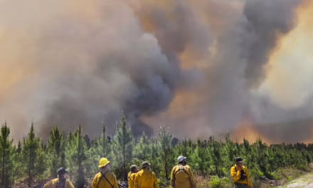 Video:Incendio forestal al sur del estado de Georgia continúa extendiéndose tras iniciar el pasado sábado 18 de abril.