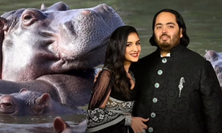 MAGNATE INDIO OFRECE SALVAR A HIPOPÓTAMOS DE PABLO ESCOBAR.