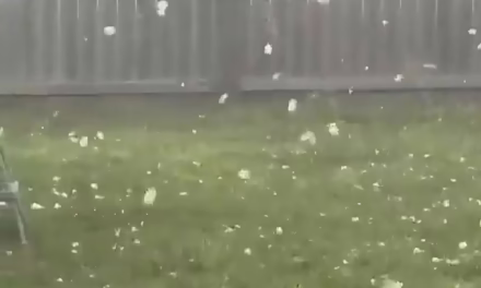 Video:Lluvia de “pelotas de béisbol”: Feroz granizada azotó Springfield, Missouri 