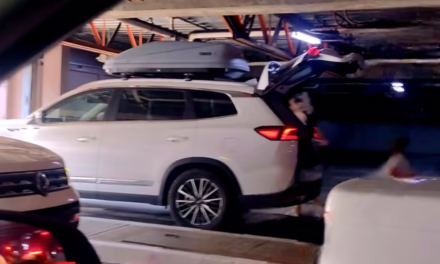 Descuido al volante en Plaza Animas