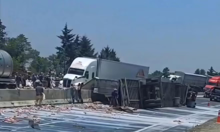 Vuelca tráiler cargado de leche en la Perote-Xalapa