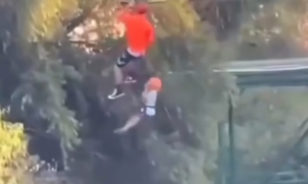 Video:Susto en Parque Fundidora, niño cae de tirolesa 