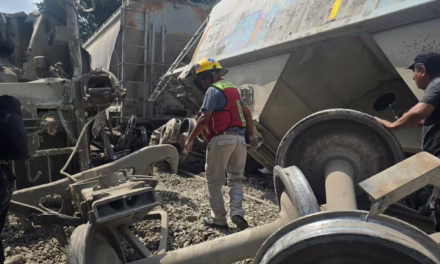 Tren se descarrila en límites de Córdoba y Fortín.