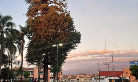 Temperaturas máximas incrementen de manera gradual conforme avance la semana.