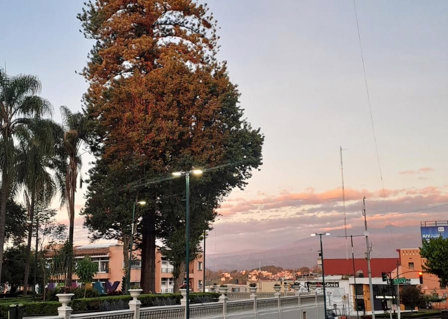 Temperaturas máximas incrementen de manera gradual conforme avance la semana.