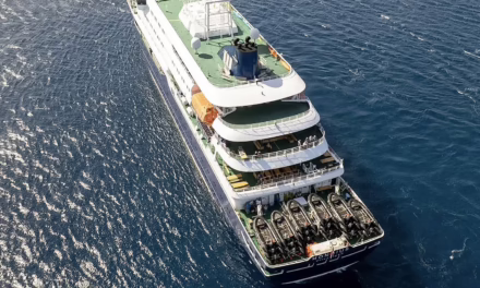Advierte OMS posible contagio humano de hantavirus en crucero holandés