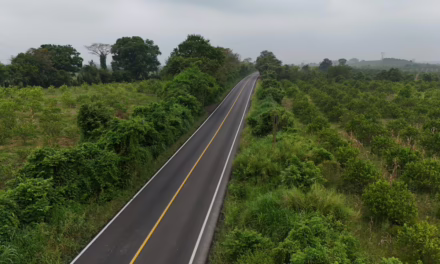 La infraestructura es motor económico; el sur concentra obras estratégicas: Rocío Nahle