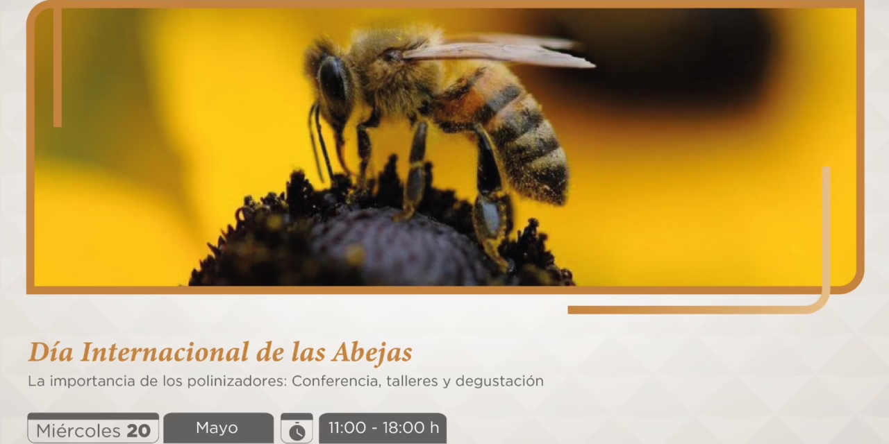 Invita SECVER a jornadas medioambientales en el MAEV