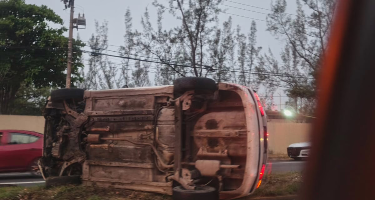 Accidente en la Veracruz-Xalapa: Taxi volcado y un equino muerto