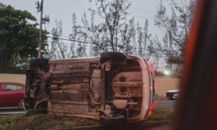 Accidente en la Veracruz-Xalapa: Taxi volcado y un equino muerto