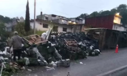Volcadura de tráiler en la carretera Altotonga-Tlapacoyan