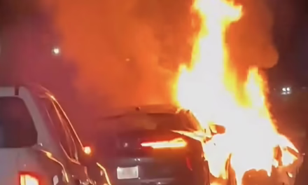 Video: Noche de arrancones clandestinos terminó en tragedia sobre la carretera Mérida–Progreso
