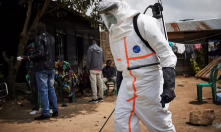 Alerta mundial por brote de ébola en la República Democrática del Congo