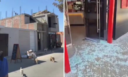 Video:Sismo de magnitud 6,1 en Perú deja heridos y daños leves