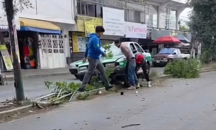 Taxi queda varado sobre camellón de la colonia Revolución; chofer y testigos intentaron moverlo