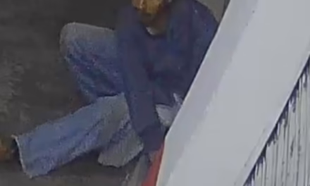 VIDEO: Captan el momento en que un sujeto ingresa a robar a un local comercial en Xalapa