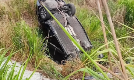 Volcadura en la carretera 180 Cardel-Poza Rica moviliza a cuerpos de emergencia