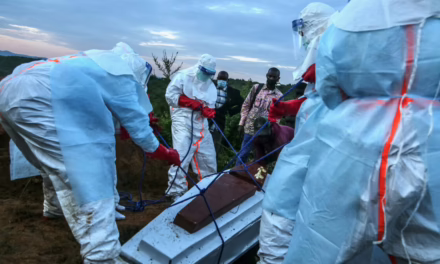 Brote de ébola deja más de 200 muertes en África y preocupa expansión a otros países
