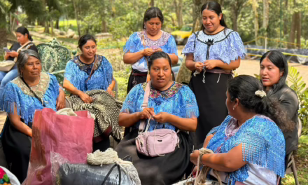 Realizan SECVER y FONART tercera jornada de acopio artesanal en Xalapa