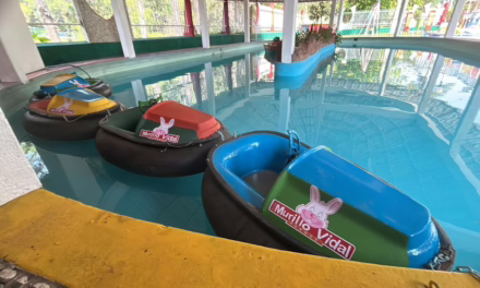 Parque Murillo Vidal, referente de recreación y convivencia en Xalapa