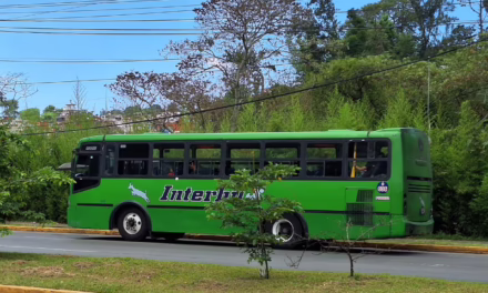 Gobierno estatal inicia transformación del sistema de transporte público de Veracruz