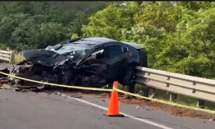 TRAGEDIA EN LA AUTOPISTA: CUATRO PERSONAS PIERDEN LA VIDA TRAS FUERTE CHOQUE CERCA DE LA CASETA DE TOTOMOXTLE
