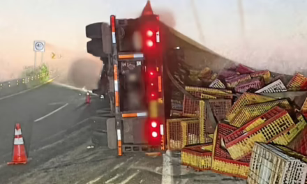 Accidente en las Cumbres de Maltrata: Volcadura de tractocamión provoca cierre parcial en la autopista Mendoza-Esperanza